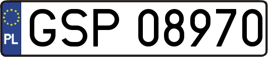 GSP08970