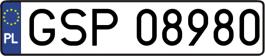GSP08980