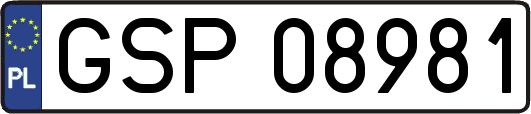 GSP08981
