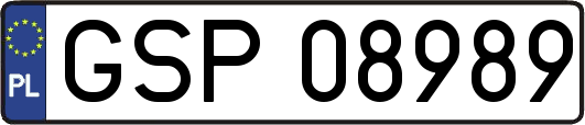 GSP08989