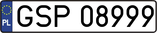 GSP08999
