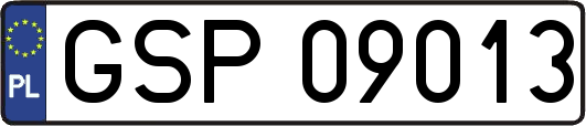 GSP09013