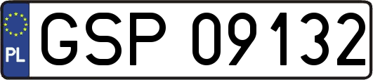 GSP09132