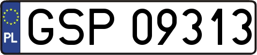 GSP09313