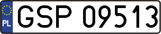 GSP09513