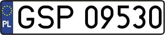 GSP09530