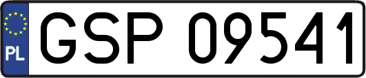 GSP09541