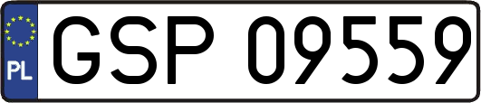 GSP09559