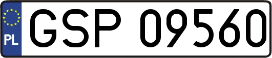 GSP09560
