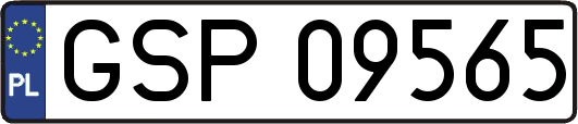 GSP09565