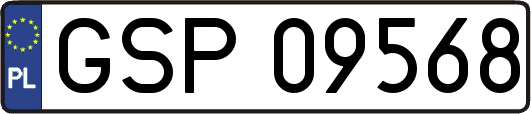 GSP09568