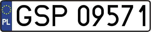 GSP09571