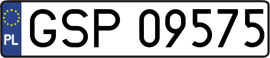 GSP09575
