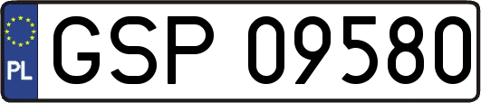 GSP09580