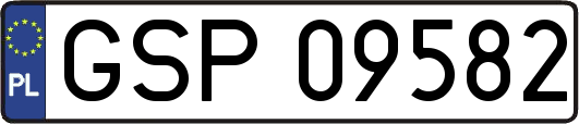 GSP09582