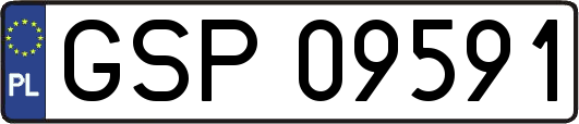 GSP09591