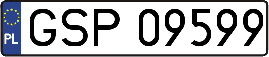 GSP09599