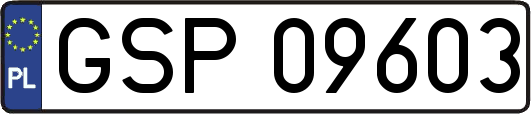 GSP09603