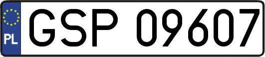 GSP09607