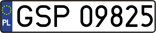 GSP09825