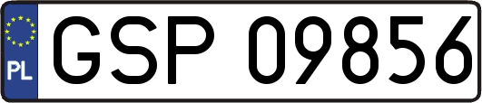 GSP09856