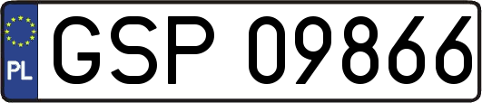 GSP09866
