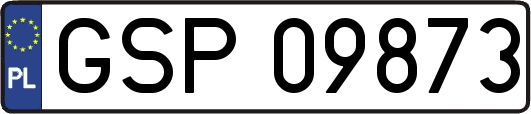 GSP09873