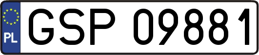 GSP09881