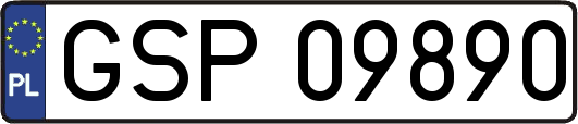 GSP09890