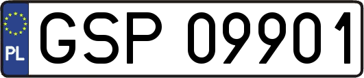 GSP09901