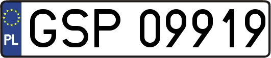 GSP09919