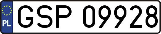 GSP09928