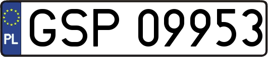 GSP09953