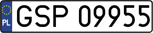 GSP09955