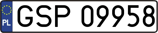 GSP09958