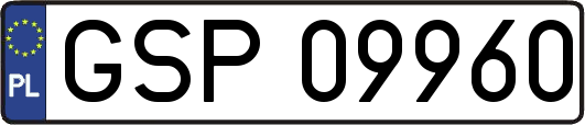 GSP09960
