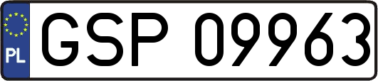 GSP09963