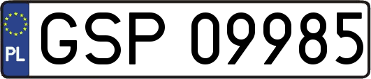 GSP09985