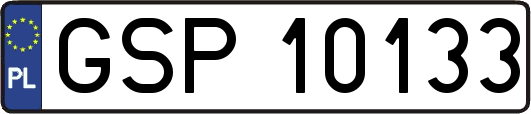 GSP10133
