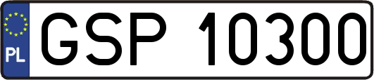 GSP10300