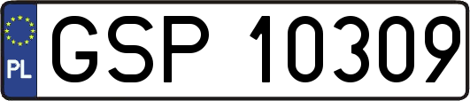 GSP10309