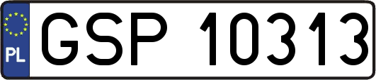 GSP10313