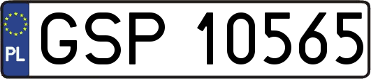 GSP10565