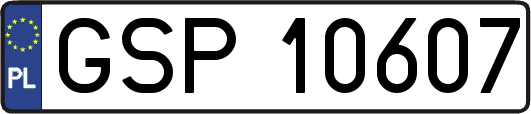 GSP10607
