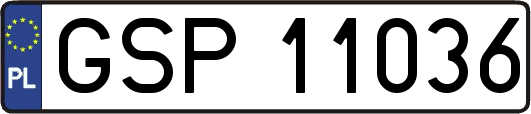 GSP11036