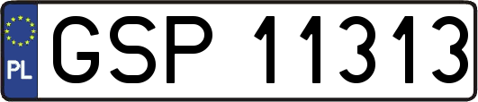 GSP11313
