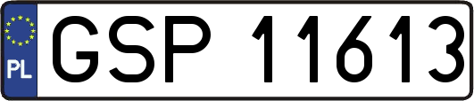 GSP11613