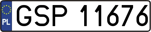 GSP11676