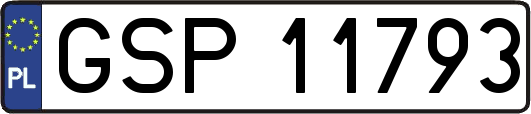GSP11793
