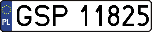GSP11825